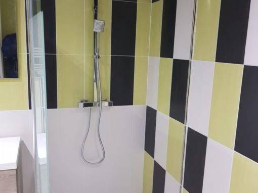 Argol réalisation d’une salle de bain avec douche italienne et wc suspendu (1)